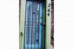 bdoor1