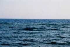 gulfofmexico