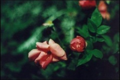 openclose