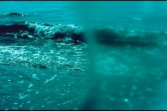 wave