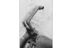 bas16