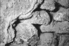 bas20