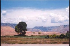 sce21