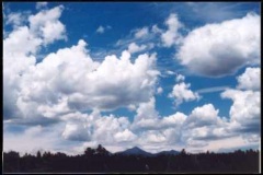 sce8