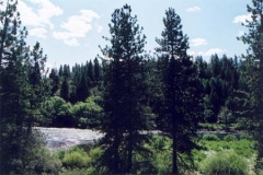 west13