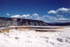 west19