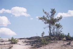west27