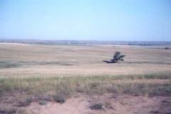 west32