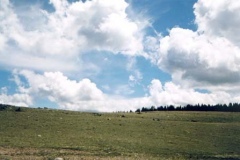 west4