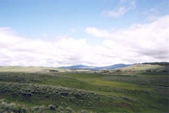 west8